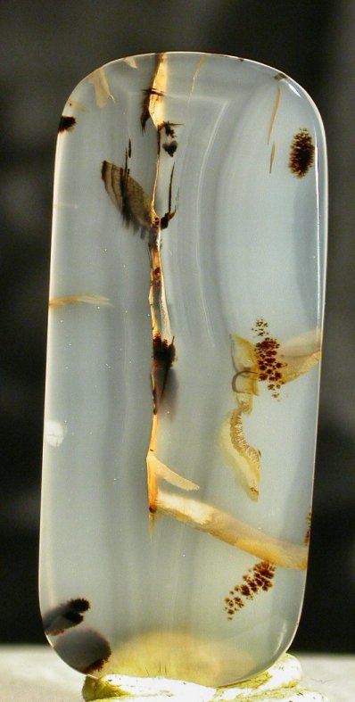 montana dendritic agate